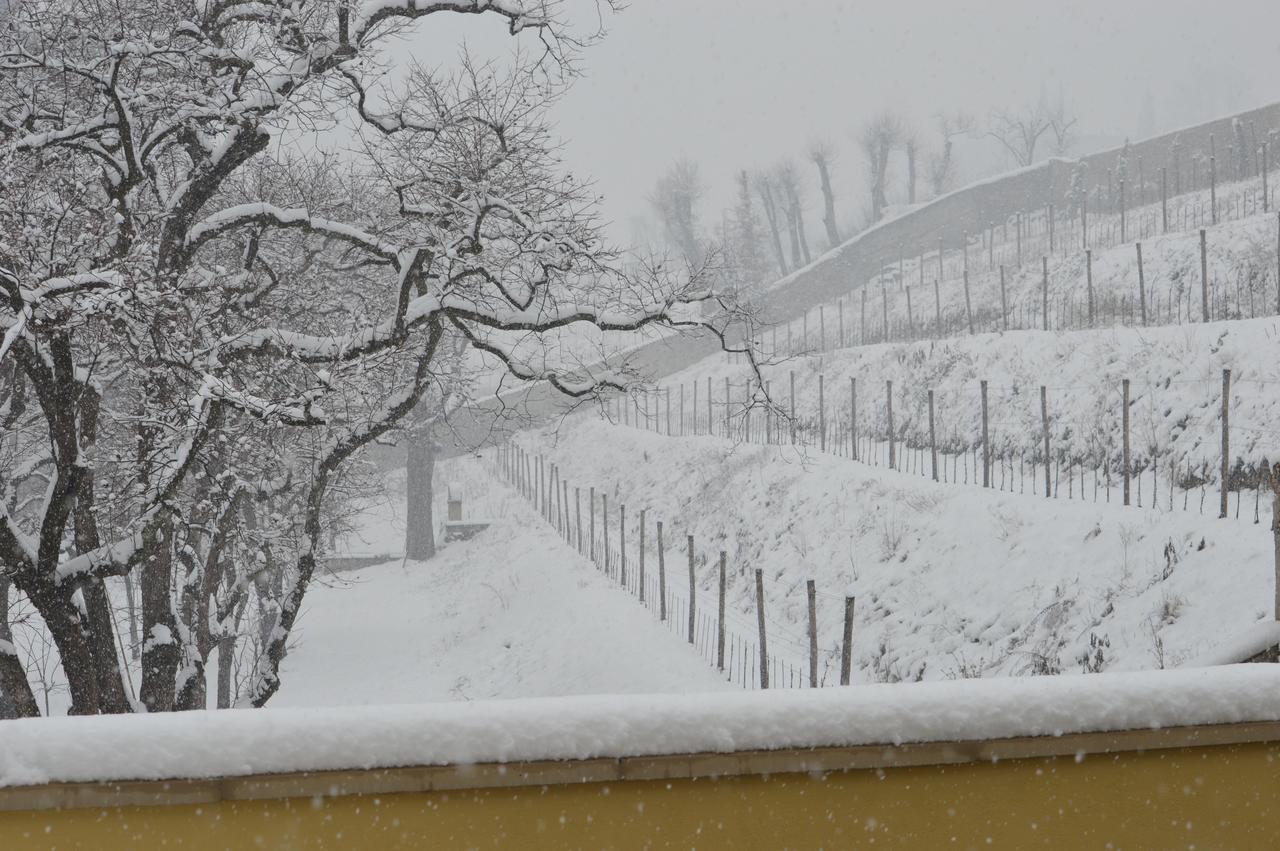 Villa Biondelli Wine & Suites Cazzago San Martino Luaran gambar